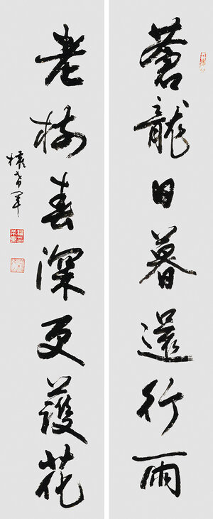 权希军 苍龙老树对联.jpg