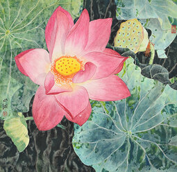 陈明纲 作品.jpg