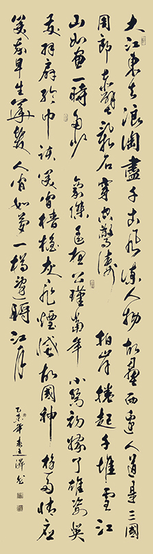 苏轼《赤壁怀古》  规格240cmX69cm  2015年5月.jpg