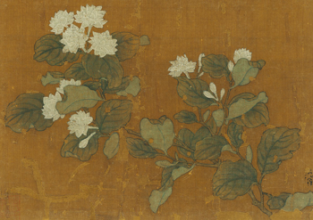 马麟《茉莉舒芳图》（局部），绢本设色，22.8×22.8cm，宋代.png