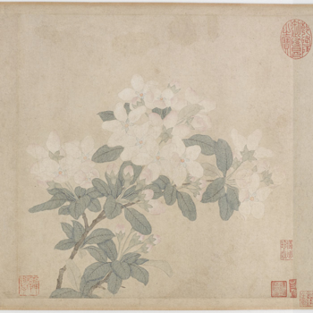 钱选《来禽栀子图卷》（局部），纸本设色，78.3×29.3cm，元代.png