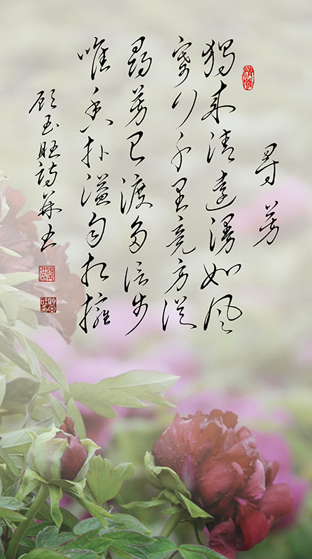 10寻芳.jpg