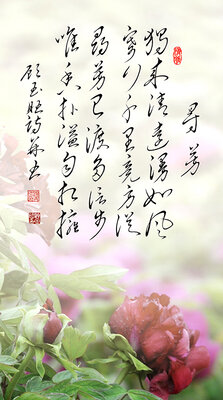 7寻芳 独来清远漫如风 寄行千里竟方从 寻芳已渡多信步 唯香扑溢自相拥.jpg