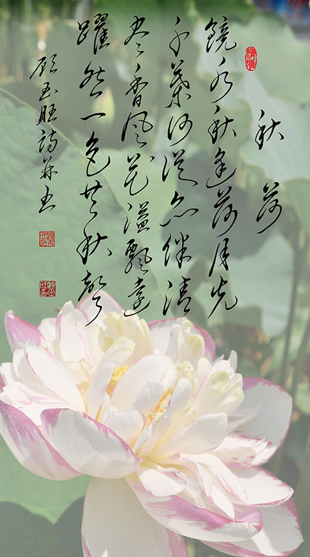 15秋荷 镜水秋逢荷月光 千叶何从亦伴清 尽香风花溢飘远 跃然一色共秋声.jpg