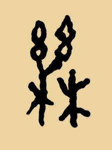 栎.JPG