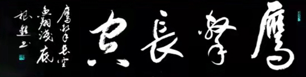 鹰击长空.jpg