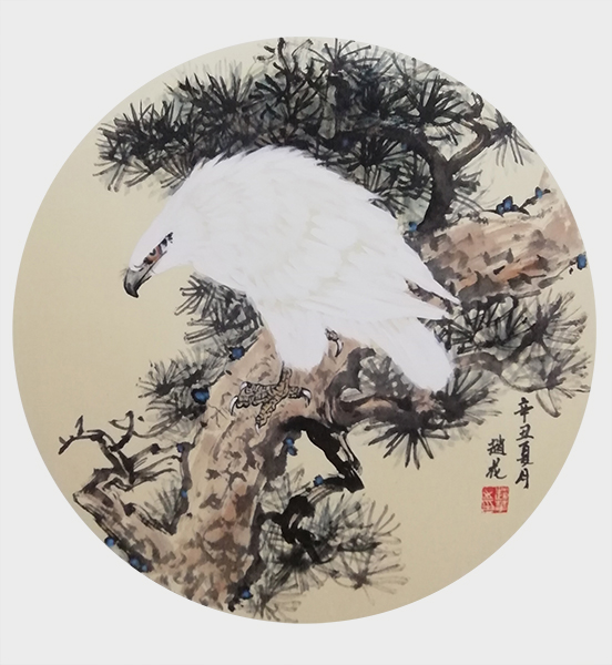 赵花书画作品《白鹰图》38cmX38cm.jpg