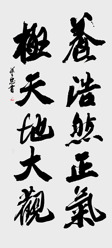 4.陈艺忠，《养浩极天》楷书联，136.5cm×63cm.JPG