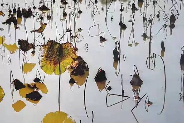解素兰摄影作品《秋景》规格：60cmx40cm创作年代：2009年.jpg