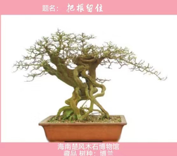 微信图片_20240806114201.jpg