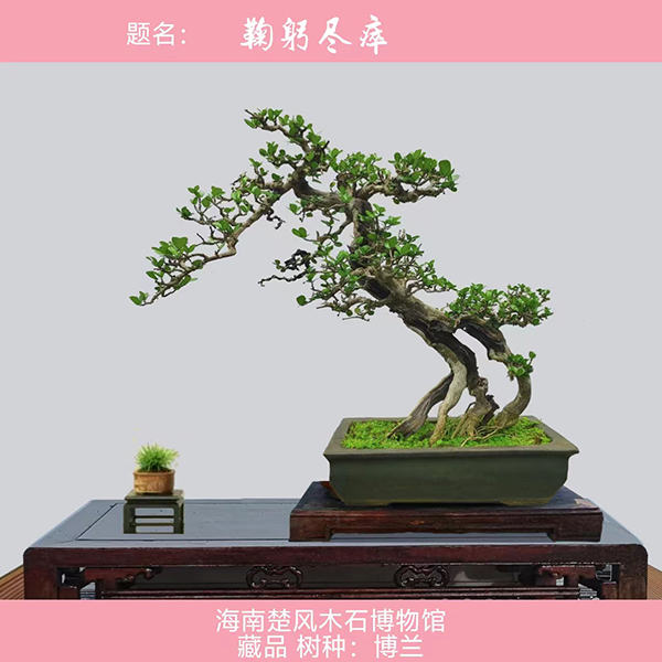 微信图片_20240806114205.jpg