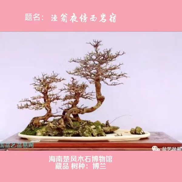 微信图片_20240806114242.jpg