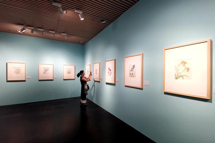 “花开敦煌——常书鸿、常沙娜父女作品展”展览现场2.jpg