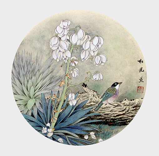 剑麻花开.jpg