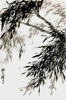 沈子琪-清影摇风-46cm×69cm.jpg