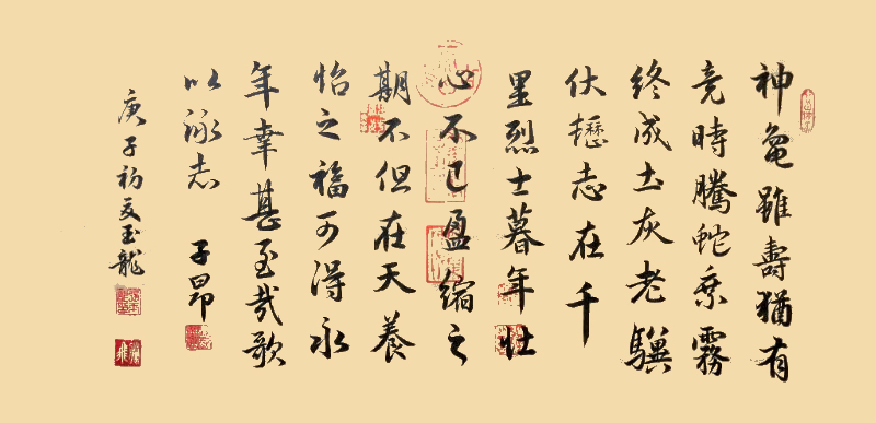 9《龟虽寿》.jpg