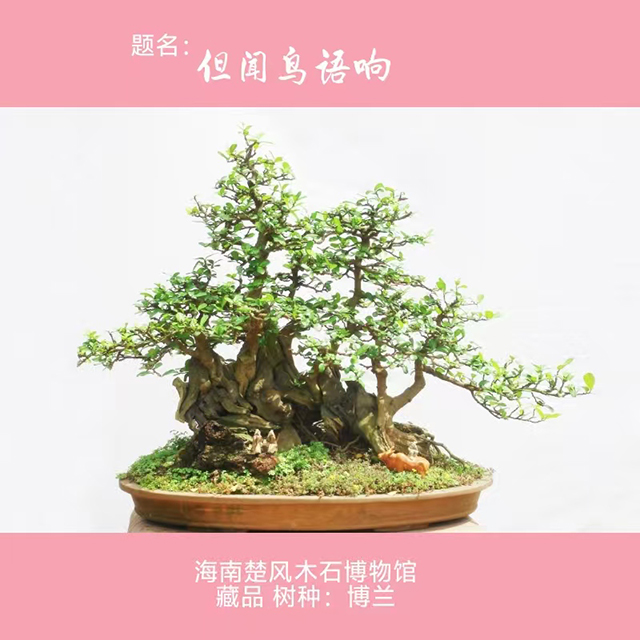 微信图片_20250506151301.jpg