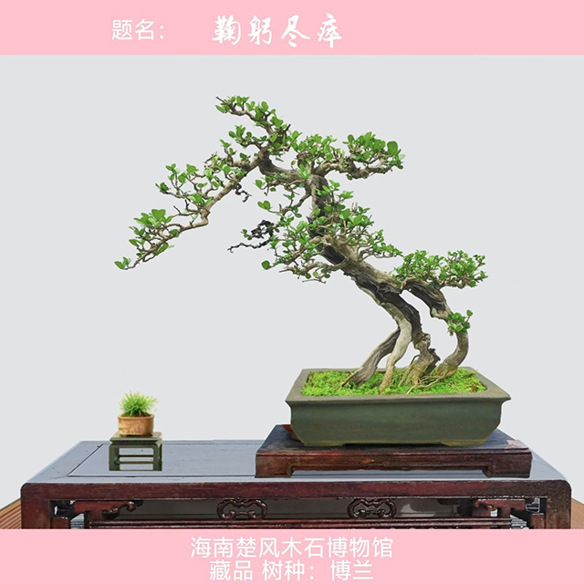 微信图片_20250506151515.jpg