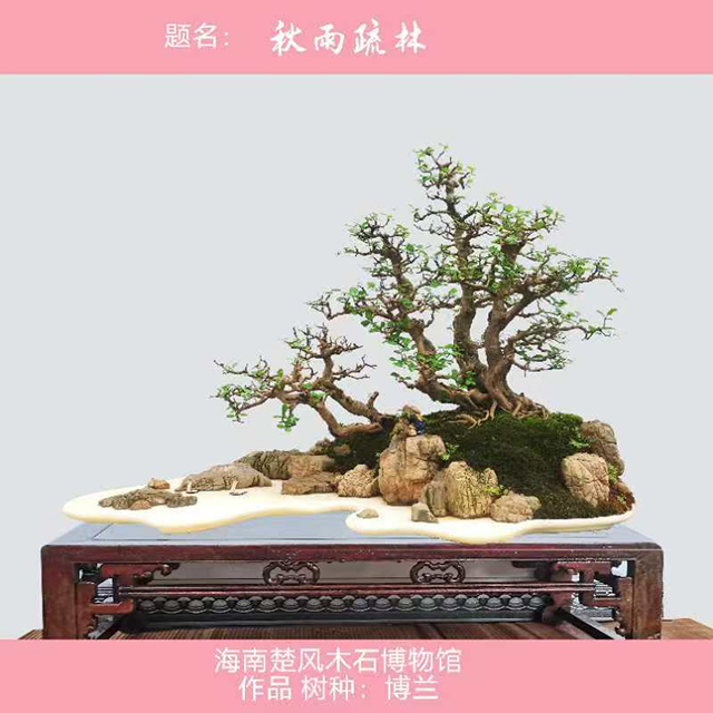 微信图片_20250506151538.jpg